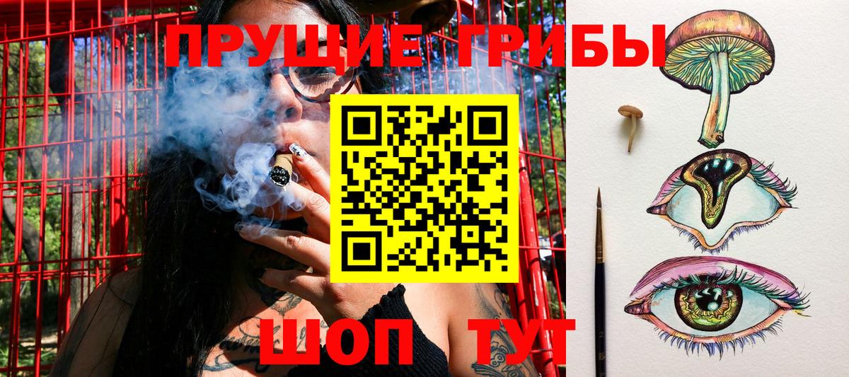 Галлюциногенные грибы Psilocybe Нижнеудинск