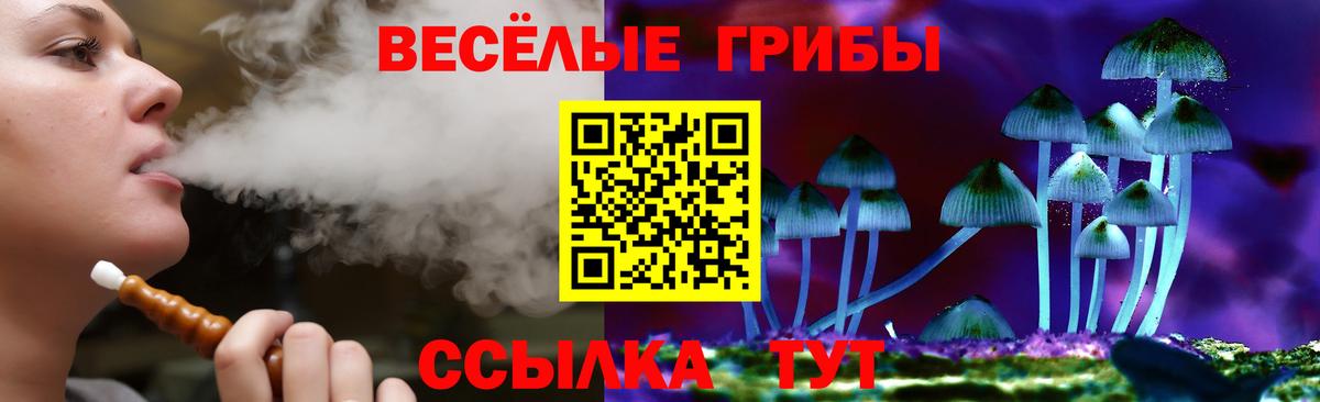 Псилоцибиновые грибы Psilocybe  Галлюциногенные грибы мицелий  Нижнеудинск  Вход с VPN 